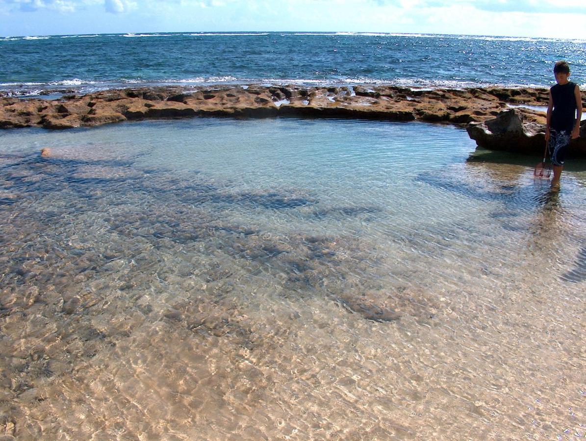 Hau'ula Itʻs All About The Beach 빌라 외부 사진